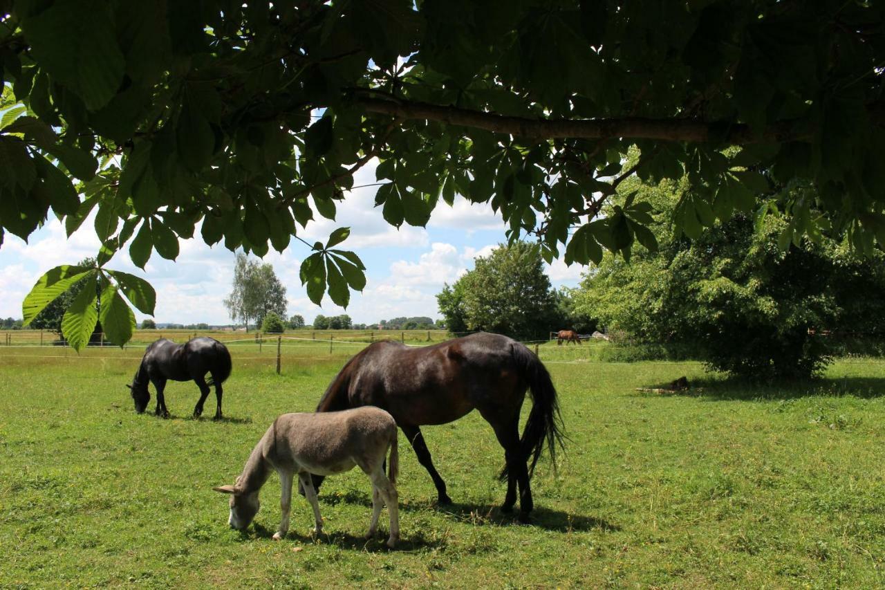 Spring-Hof Leilighet Oberostendorf Eksteriør bilde